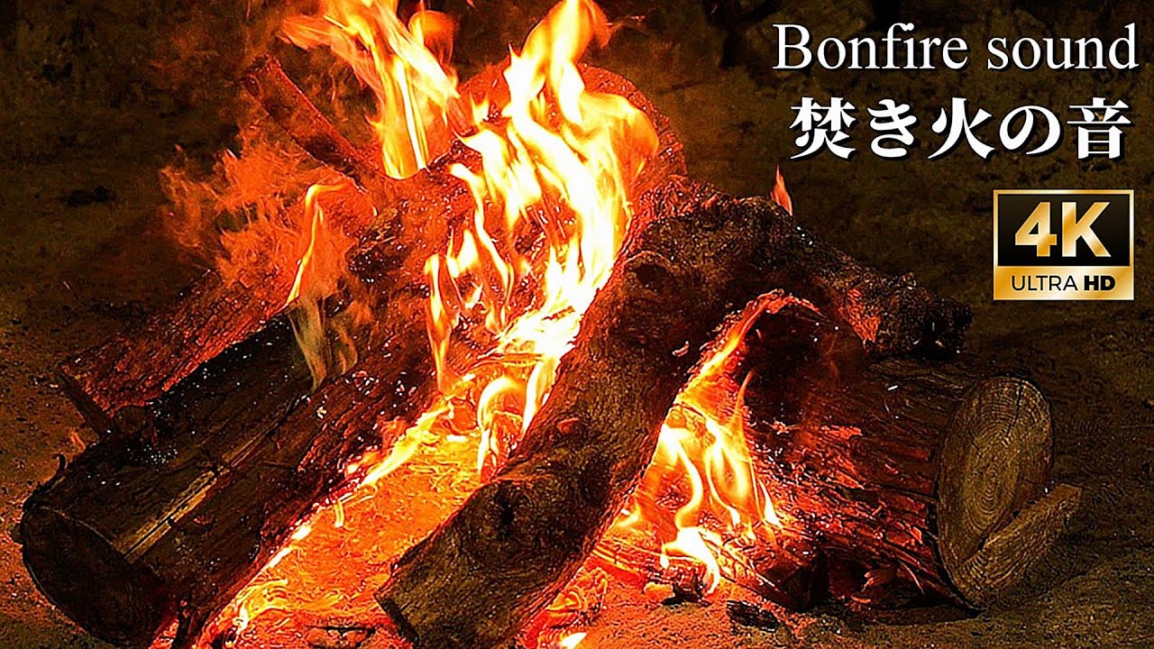 焚き火の音でゆったりくつろぐ１時間【睡眠用・癒し・自然音・ASMR】焚き火の音で睡眠導入