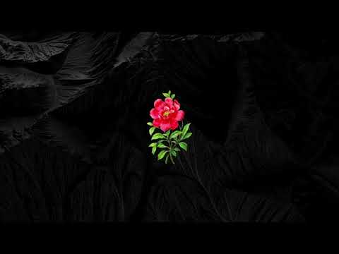 Heuss L'Enfoiré x Naps Type Beat // Guitar Club Instrumental - Finito 🏁 (Prod. Hazer)