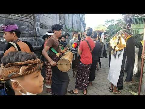 Ngelawang barong seke rare khuwal di sading