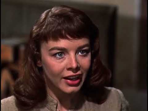 Darby O’Gill and the Little People (1959) Clip - Katey Packs