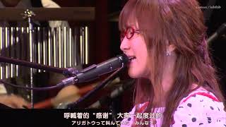Oku Hanako - Kimi ga Kureta Natsu / 奥華子 - 君がくれた (Live Ver.)