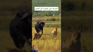 فاللحظات الاخيرة صدمةتجاوزت كلالحدود 🤯#shorts