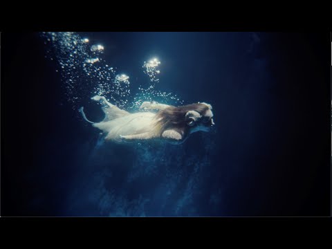 Panspermia - Siip