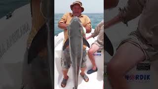 Hôtel Kasa Afrikana