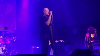 Cliché - Fish Wrocław Road to the Isles Tour 2024