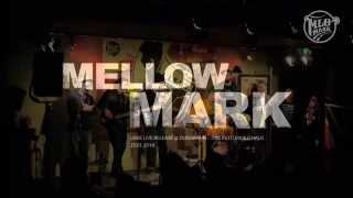 Mellow Mark & Allstars - L.I.E.B.E. (Live)