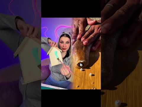 #illustration #tattoo #art #pov #procreate #drawing #whydidntmyexcomeback  #digitalart