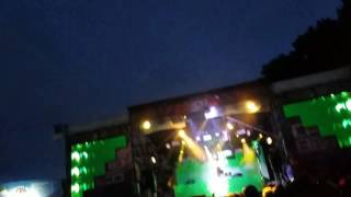 Of the Trees - unreleased Jade Cicada