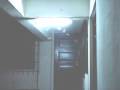 Night of the Termites