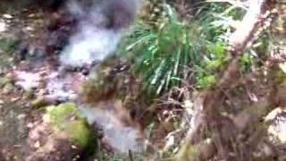 preview picture of video 'Boiling Springs in Dominica'