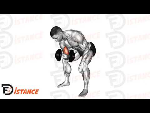 Exercice Curl concentré bras sur cuisse avec haltère