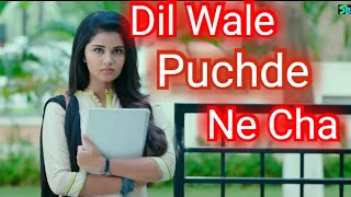  Dil Wale Puchde Ne Cha  Full Song  For status❤�