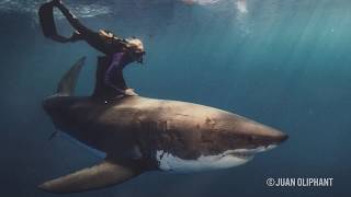 Ocean Ramsey Is the 'Little Blond Girl' Who Is Protecting Great White Sharks - The Inertia