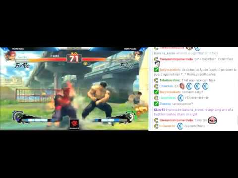 SSF4 AE Ver. 2012 Capcom Cup 2013 Winners Fainal HORI Sako vs RZR Fuudo