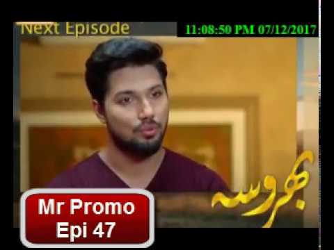 Bharosa Episode 47 Promo ARY Digital Drama