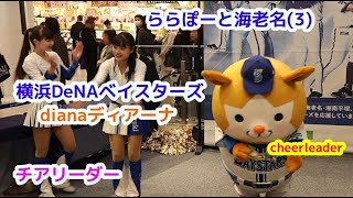 横浜DeNA ベイスターズ dianaディアーナ  ららぽーと海老名(3)チアリーダー  cheerleader