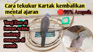 Download lagu 🔴cara terakhir @Tekukurkartak  kembalikan mental ajaran yang Don mental total🔥🔥 mp3