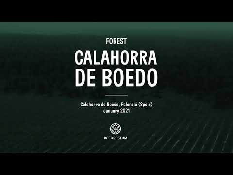 Reforestum - Calahorra de Boedo (english)