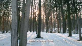 Winter - Falling into love - Kinsmen Dog Park