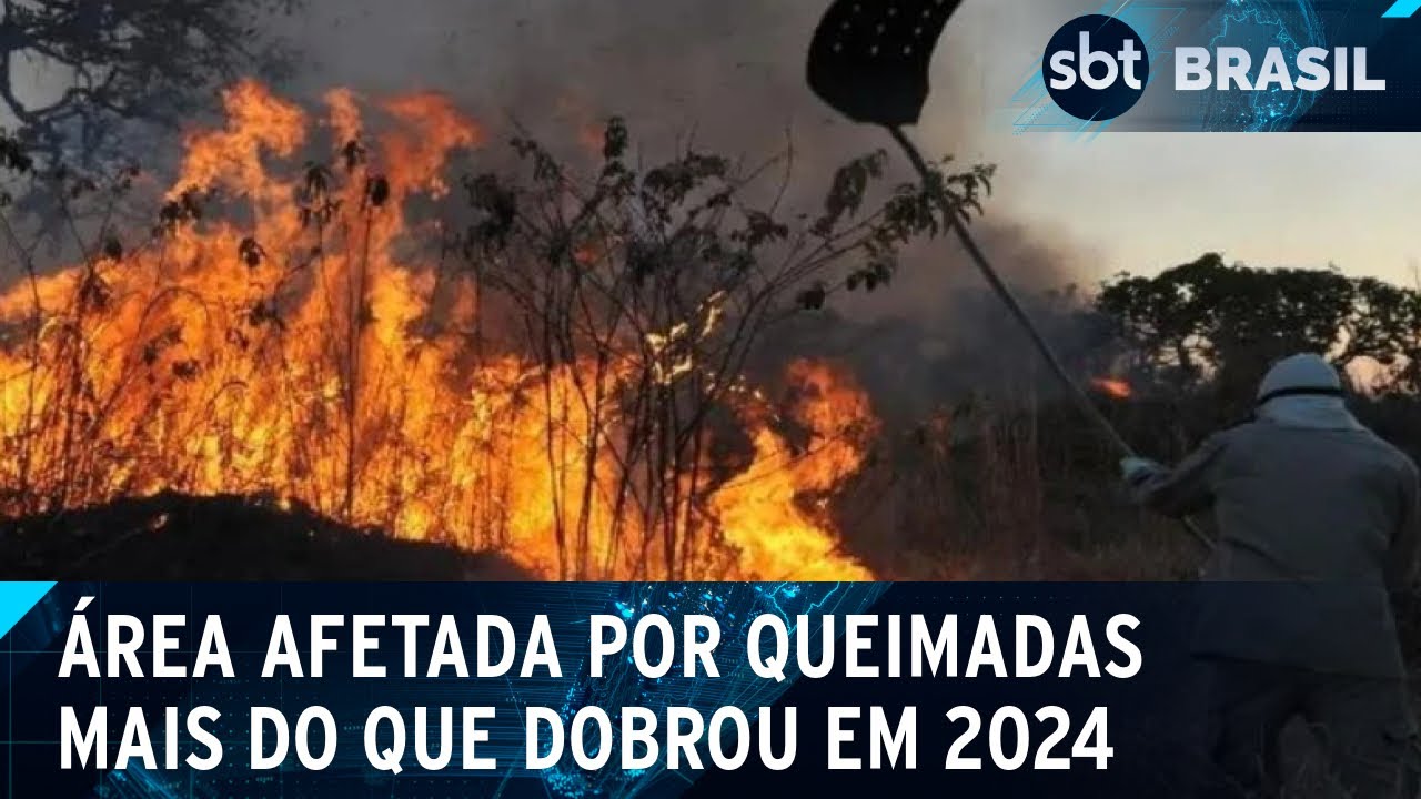 Queimadas atingem 5,65 milhões de hectares só em agosto, diz MapBiomas | SBT Brasil (12/09/24)