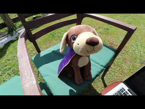 Mae siarad Cymraeg fel magic