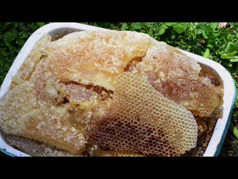 Shecha Kaffa Traditional Ethiopian Honey Making