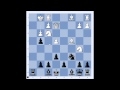 Sicilian, Smith-Morra Gambit: Balint vs Tornai - HU ...