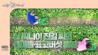 [나는농부다 296회] 5년 동안 산을 가꾼 산 싸나이 진길 씨의 산마늘 표고버섯 농장