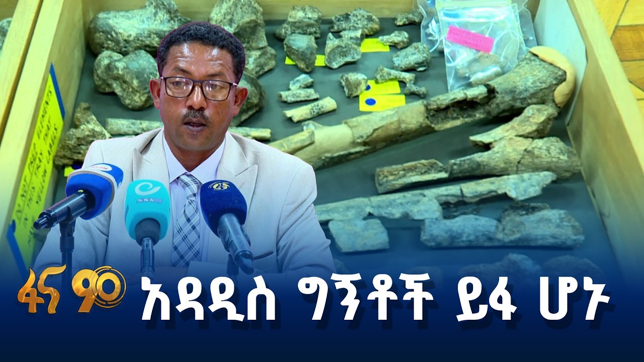 አዳዲስ ግኝቶች ይፋ ሆኑ - ከ24 ሀገራት የተውጣጡ ሳይንቲስቶች የተሳተፉበት የቅሪተ አካ