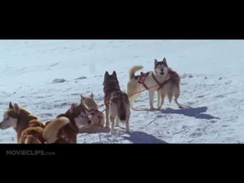 Трейлеры Белый плен