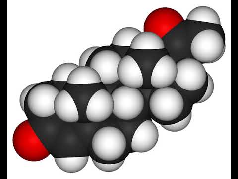 Adenosine monophosphate-200 adenosine monophosphate 200mg ra...
