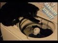 Cat Vs Wash Machine