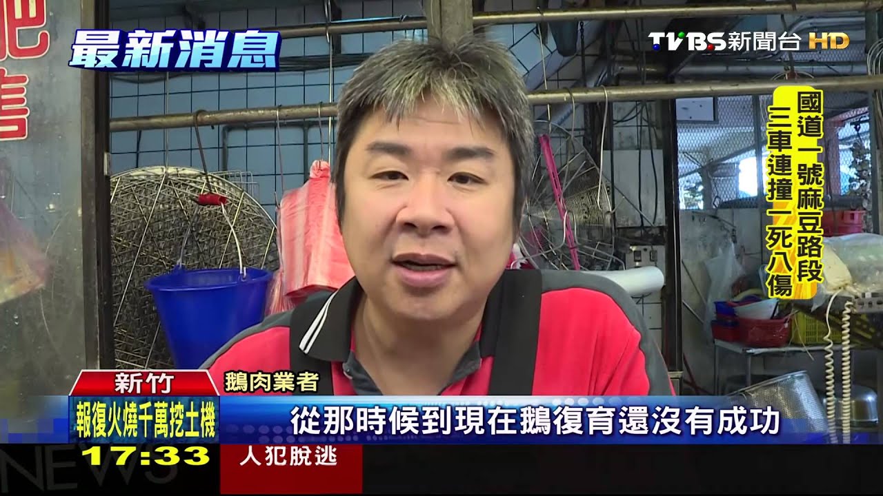 首見!看準市場需求 不法業者走私鵝肉