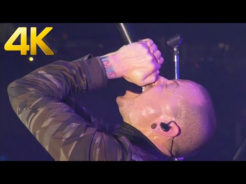 Linkin Park - Lost In The Echo (Southside Festival 2017) 4K