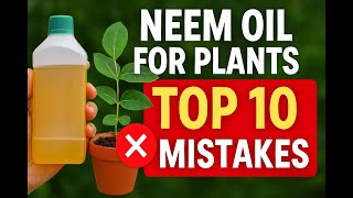 Neem oil for plants - Top 10 mistakes