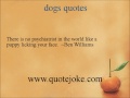 dogs quotes @ http://quotejoke.com