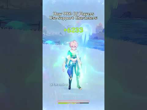 Genshin Impact There Are Two Types Of Players When Using Support Characters