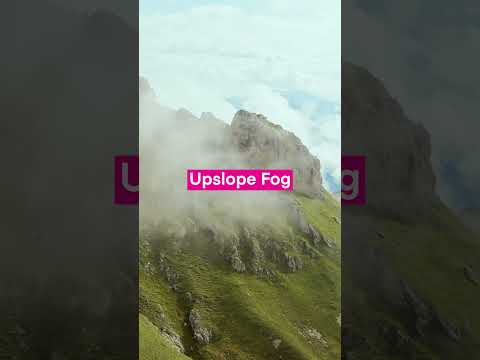 Can You Name the 7 Types of Fog? #aviation #weather #flightschool