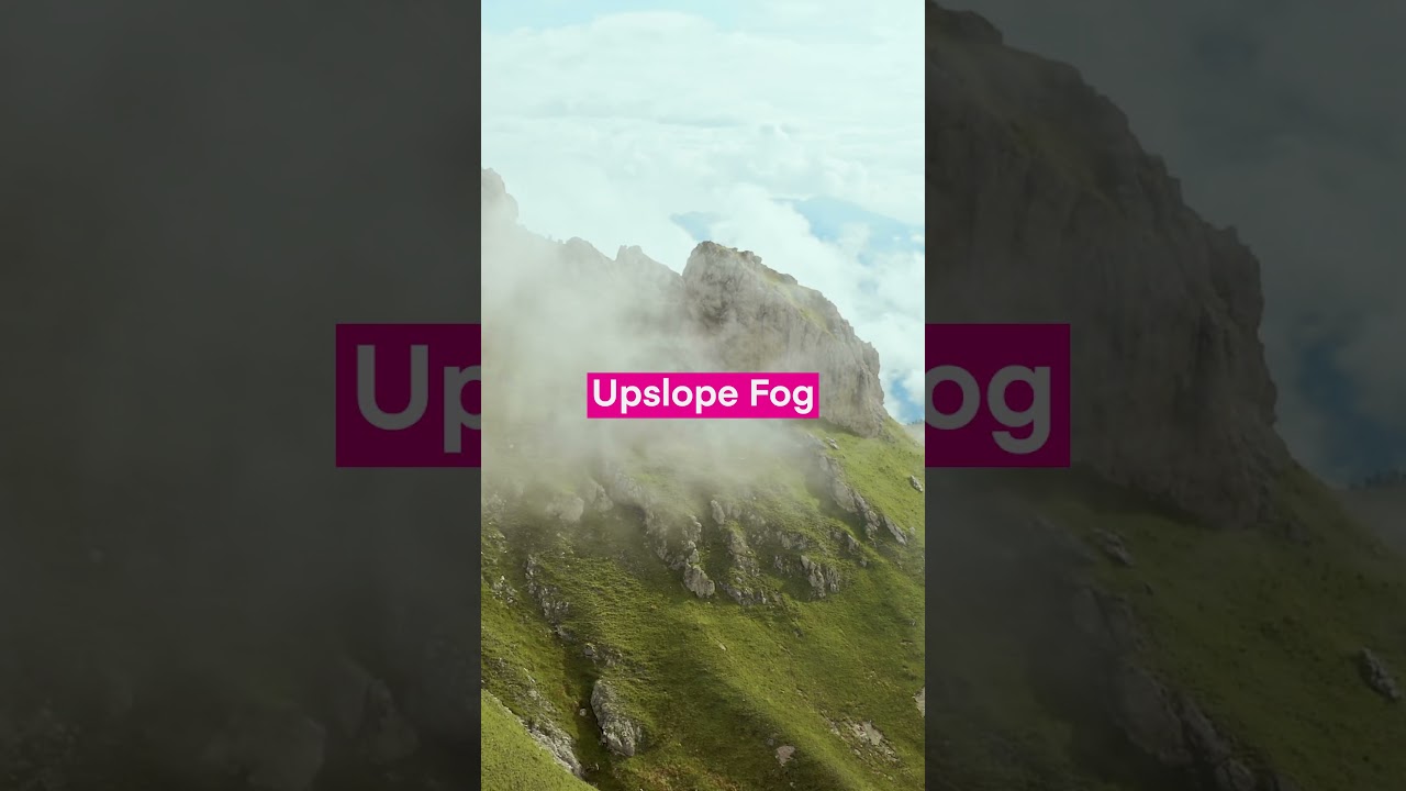 Can You Name the 7 Types of Fog? #aviation #weather #flightschool