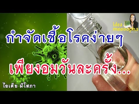 สาวน้อยมากและกระเจี๊ยวใหญ่ สมาชิกขนาดเล็ก