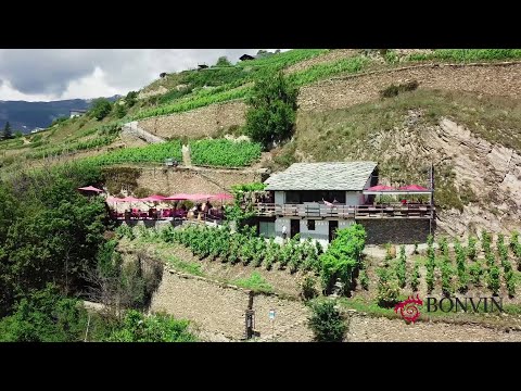 Weine von Bonvin: La Guérite Brûlefer