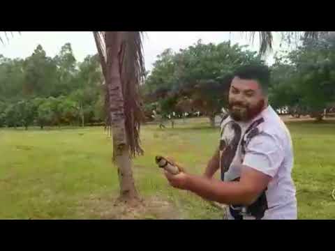 PRAINHA DA EMA TERRA RICA PR