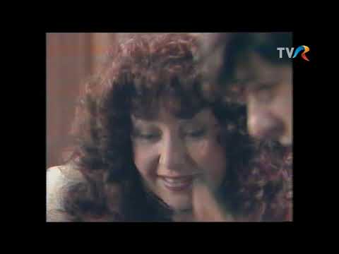 Verificarea - Rodica Popescu Bitanescu, Geo Costiniu