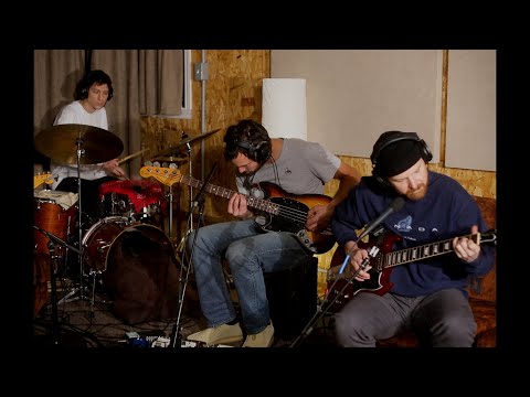 Video thumbnail for Tree Among Shrubs - live