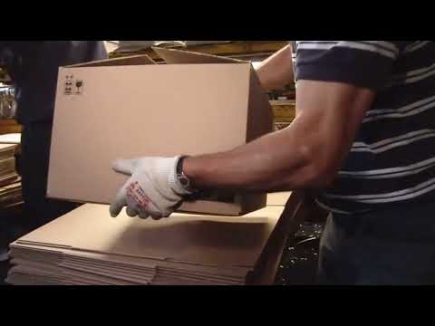 Luminarc OPAL Dinnerware 