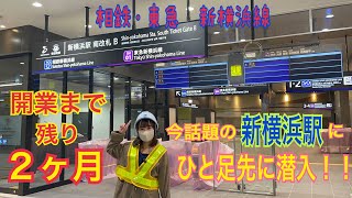 [分享] 相鐵新橫濱線小整理
