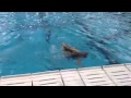 Emily Eubanks Synchronized Swim