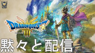 ネタバレ注意【ドラゴンクエストIII そして伝説へ…】Vol.18