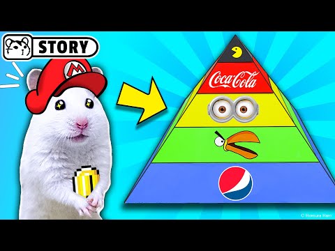 The world's largest hamster maze - obstacle course! #3 🐹 Homura Ham