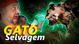 Miniatura do vídeo